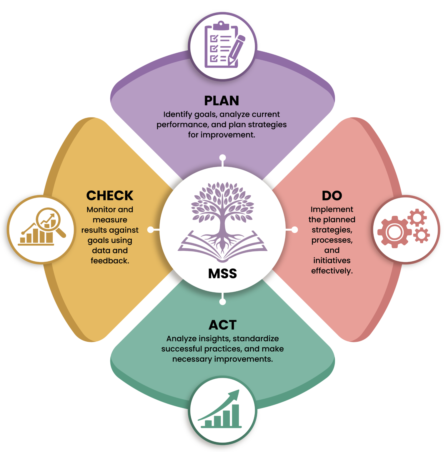 Continuous Improvement Model